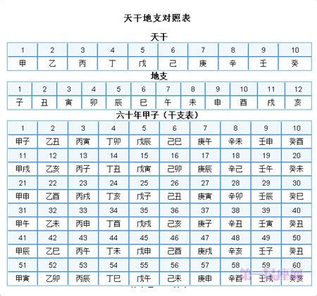 1989 天干地支|出生年份干支对查表